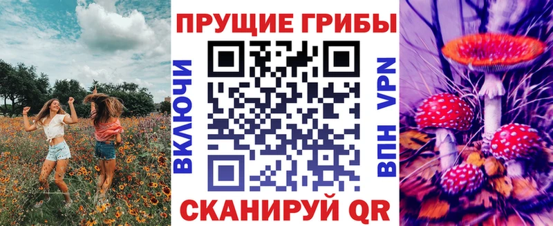 МЕГА рабочий сайт  Брянск  Галлюциногенные грибы GOLDEN TEACHER  цены наркотик 